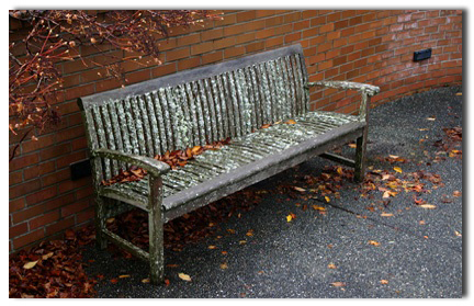 before bench